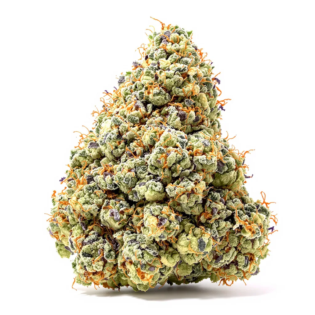 Sunrise cannabis plant in flowering stage — 120-180 cm feminised