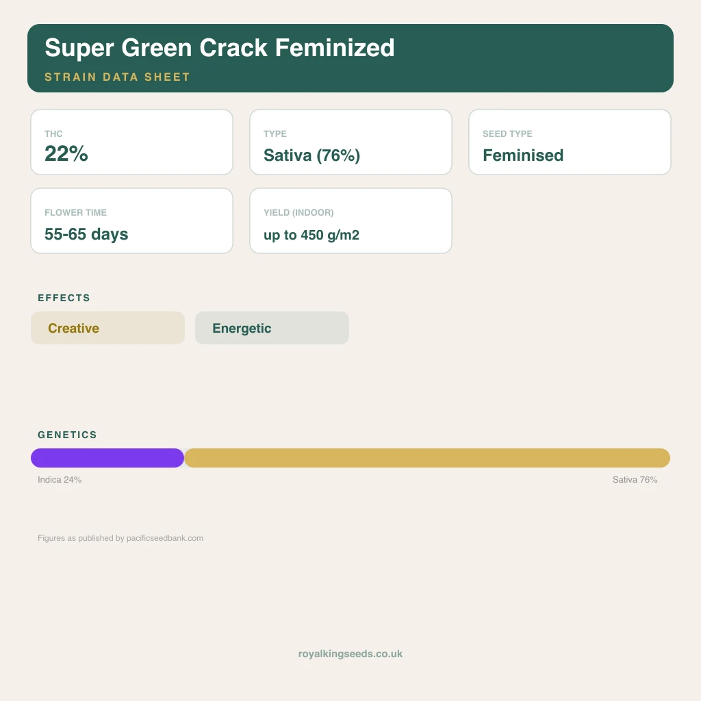 Super Green Crack 24% indica / 76% sativa flower with visible trichomes