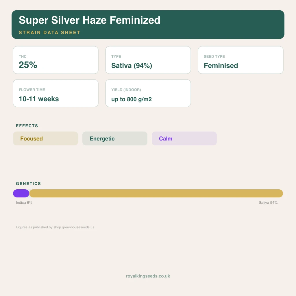 Super Silver Haze 6% indica / 94% sativa flower with visible trichomes