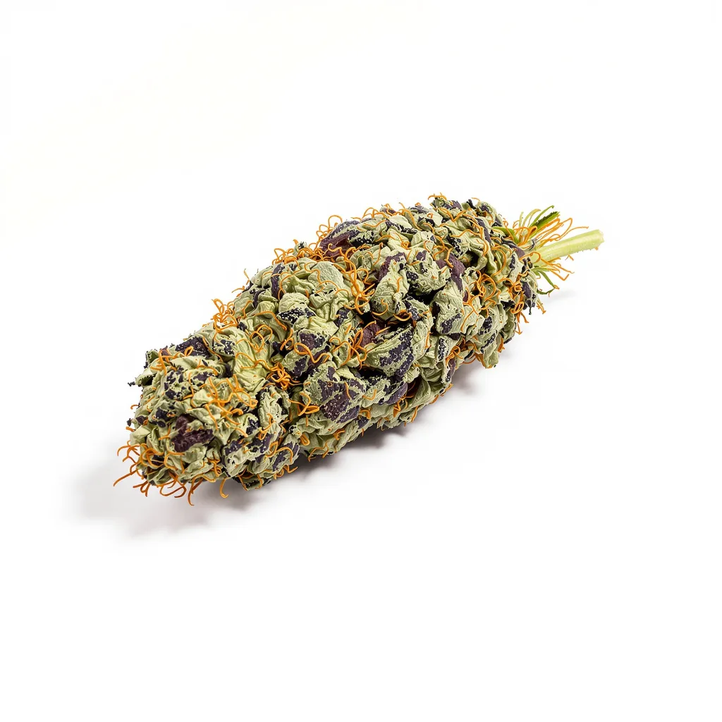 Super Skunk cannabis plant in flowering stage — 60-100 cm autoflower