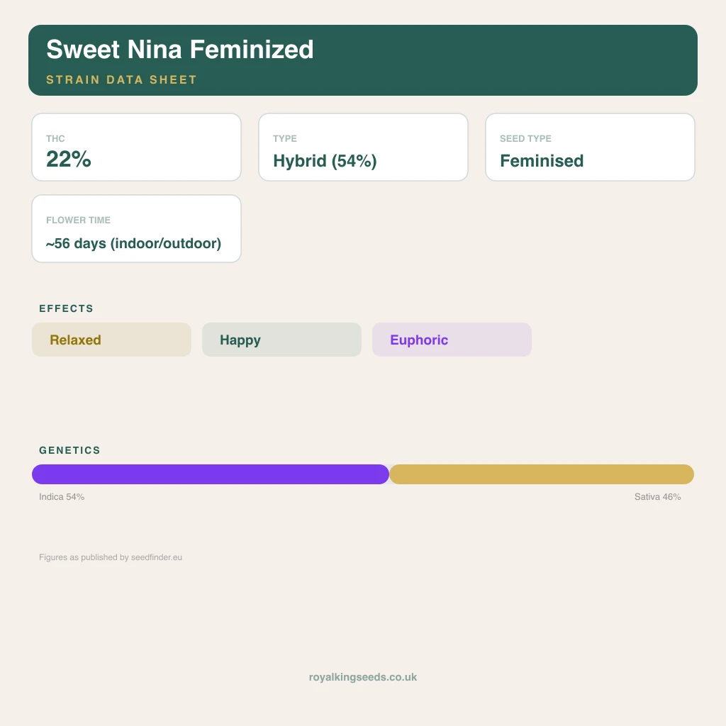 Sweet Nina 54% indica / 46% sativa flower with visible trichomes