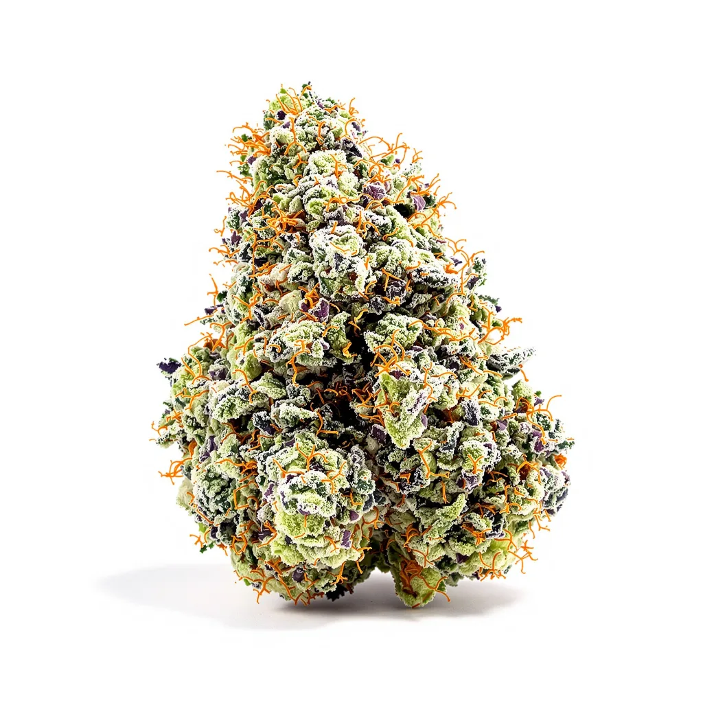 Tangerine cannabis plant in flowering stage — 120-180 cm feminised