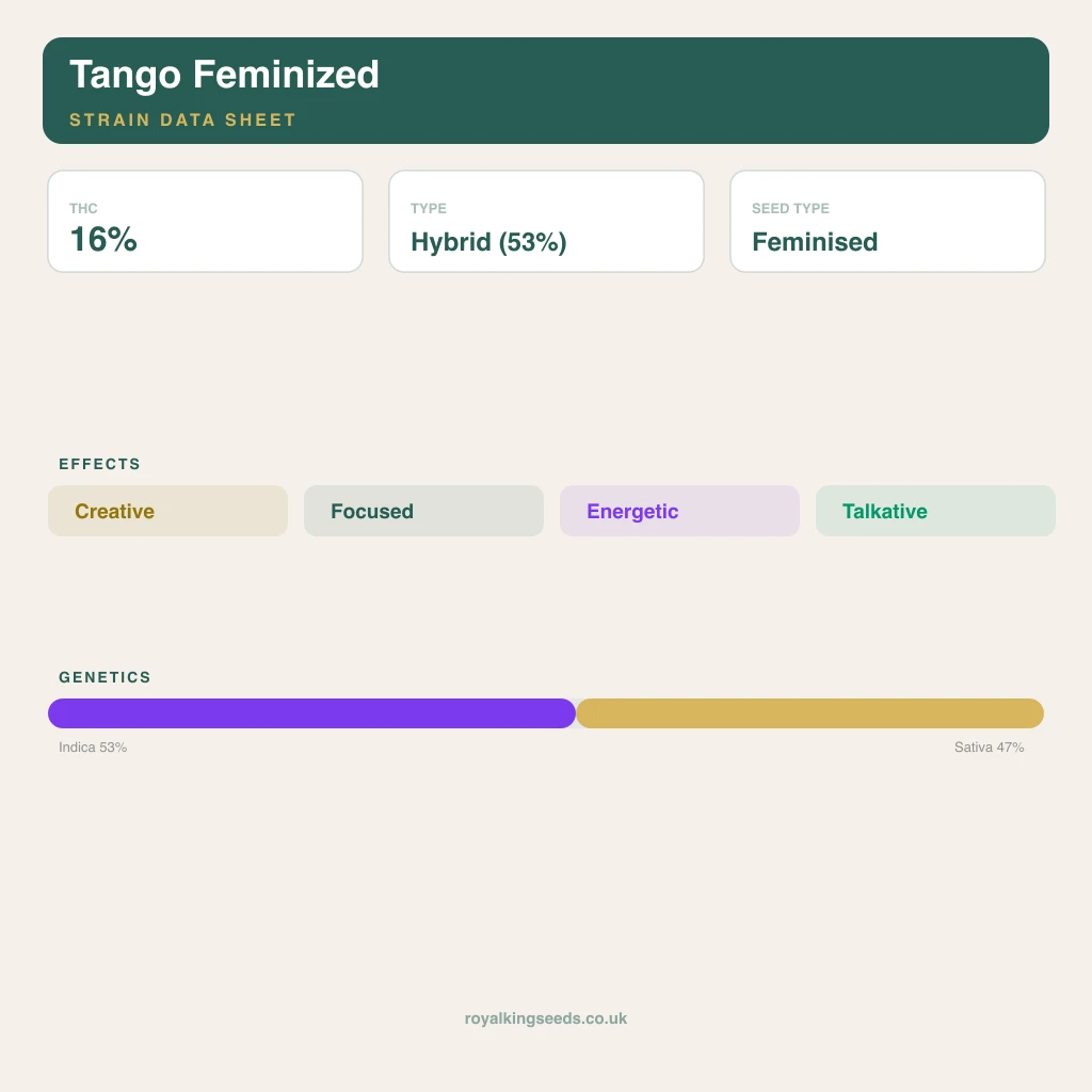 Tango 53% indica / 47% sativa flower with visible trichomes