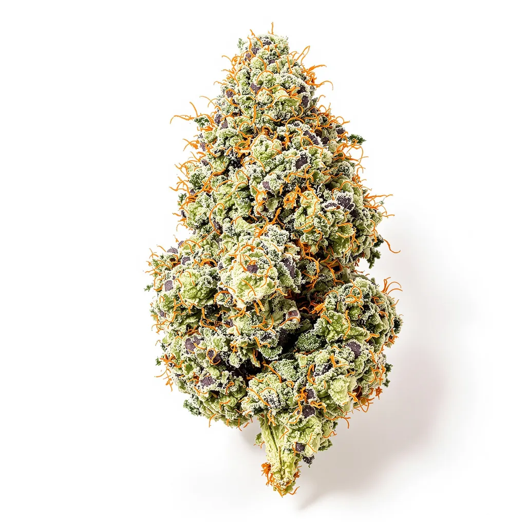 THC Bomb cannabis plant in flowering stage — 120-180 cm feminised