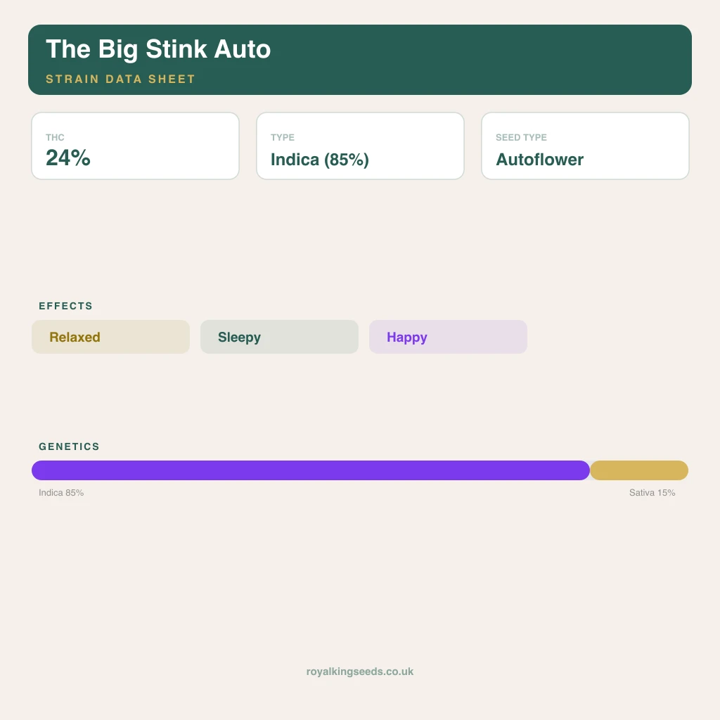 The Big Stink 85% indica / 15% sativa flower with visible trichomes