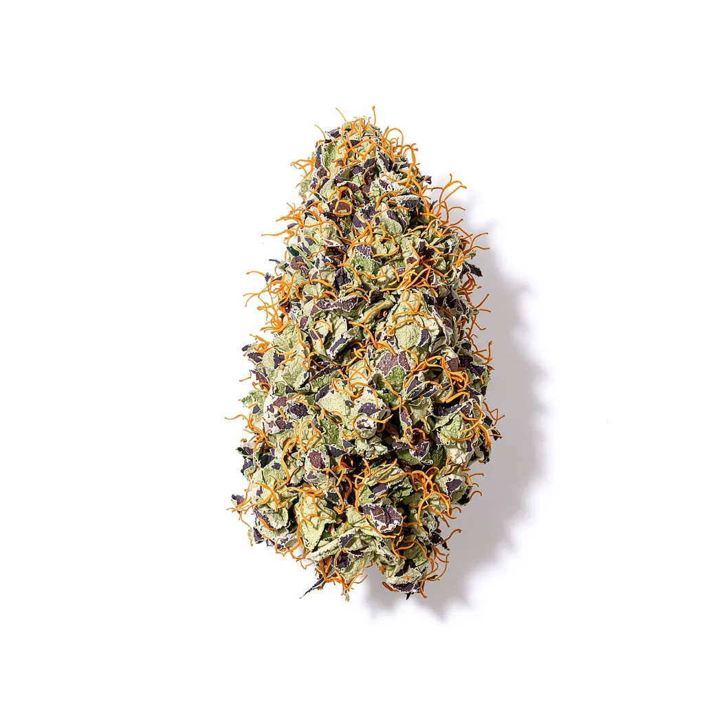 The Hog cannabis plant in flowering stage — 90-130 cm feminised