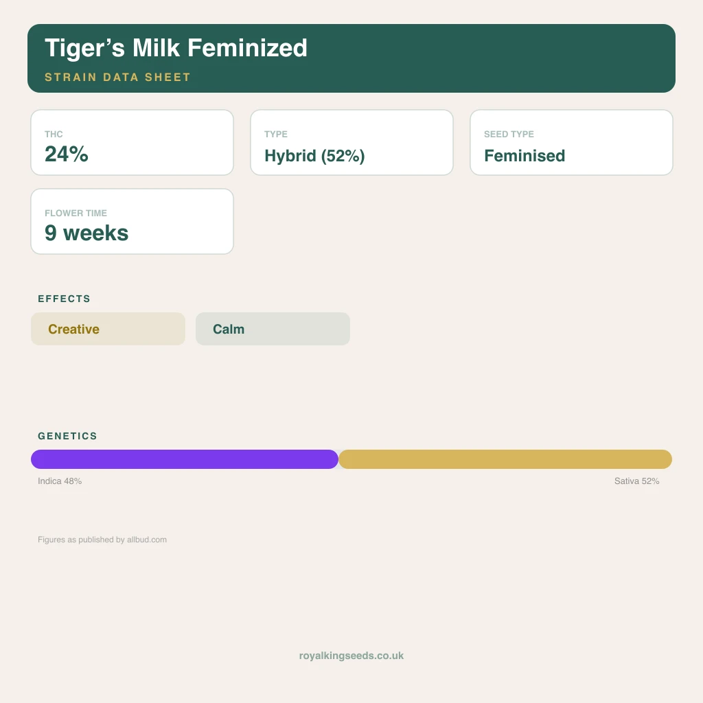 Tiger’s Milk 48% indica / 52% sativa flower with visible trichomes