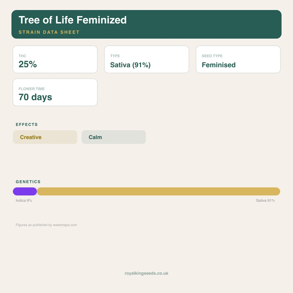 Tree of Life 9% indica / 91% sativa flower with visible trichomes