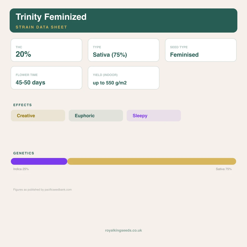 Trinity 25% indica / 75% sativa flower with visible trichomes