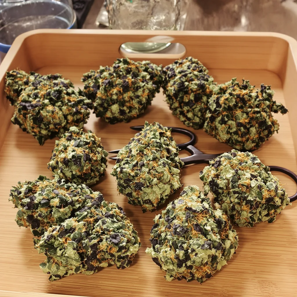 Triple Cheese 70% indica / 30% sativa flower with visible trichomes