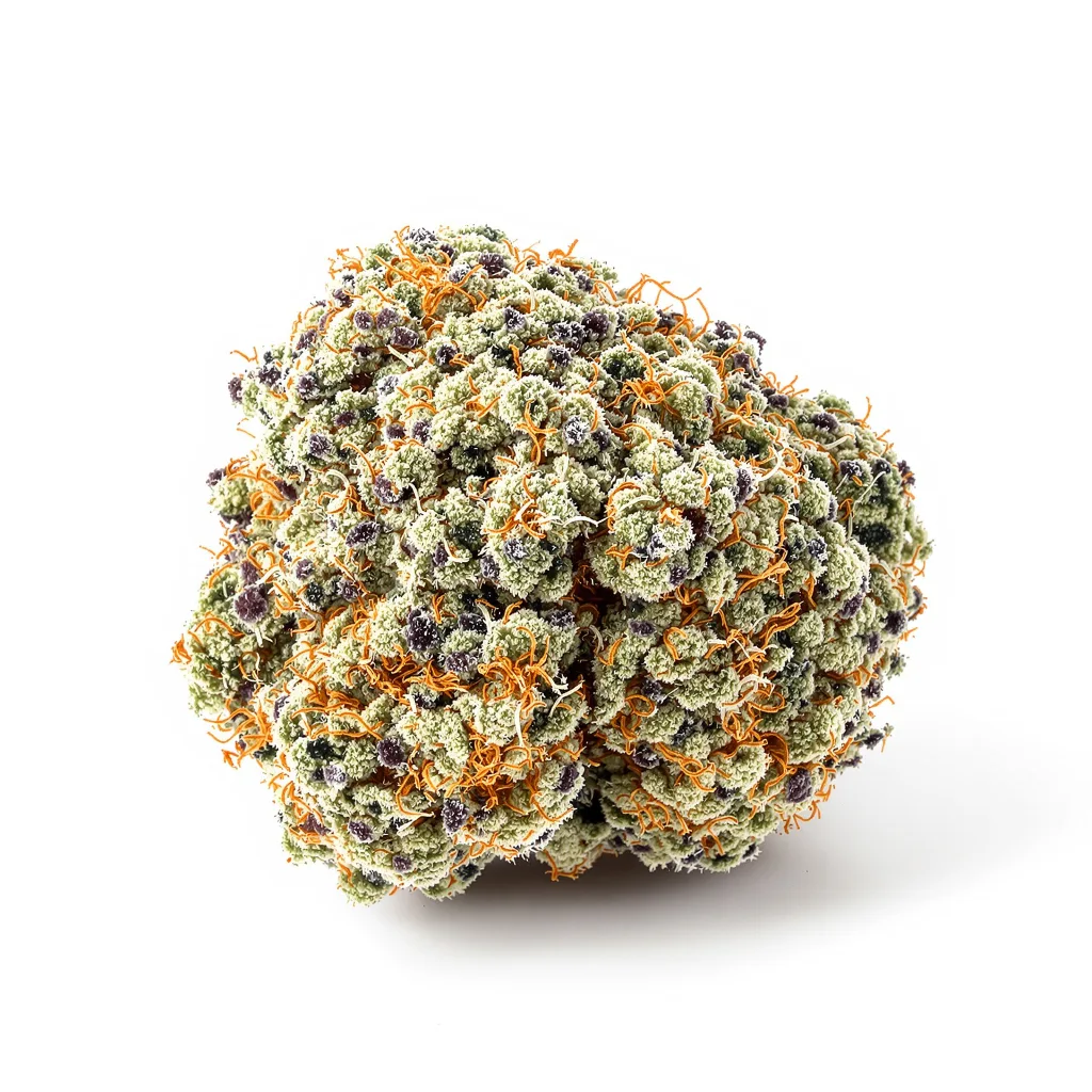 Tropicana Cookies cannabis plant in flowering stage — 70-110 cm autoflower