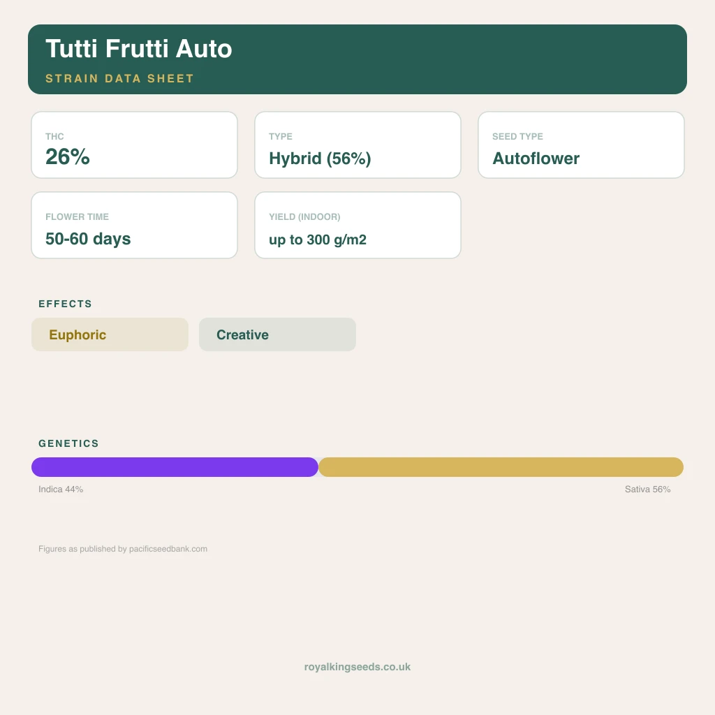 Tutti Frutti 44% indica / 56% sativa flower with visible trichomes