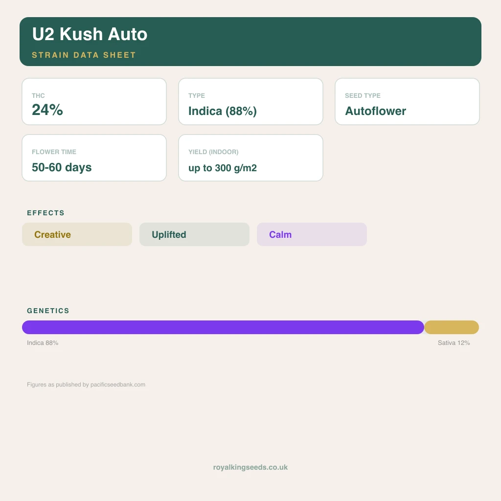 U2 Kush 88% indica / 12% sativa flower with visible trichomes