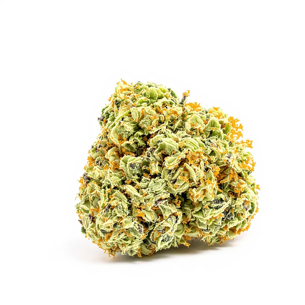 Valentine X CBD cannabis plant in flowering stage — 120-180 cm feminised