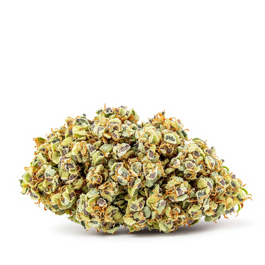 Valley Ghash cannabis plant in flowering stage — 120-180 cm feminised