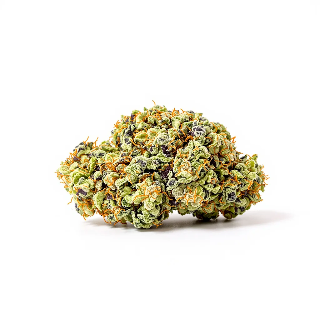 Venus OG cannabis plant in flowering stage — 120-180 cm feminised