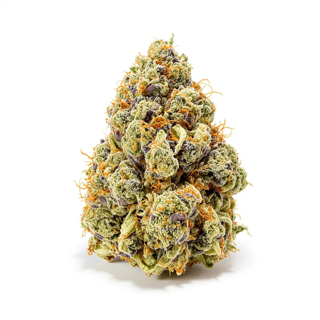 Wedding Cake cannabis plant in flowering stage — 120-180 cm feminised