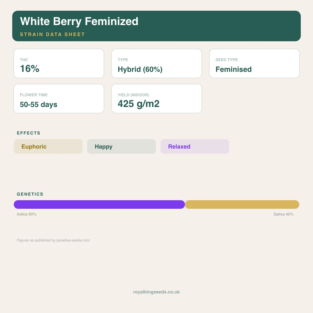 White Berry 60% indica / 40% sativa flower with visible trichomes