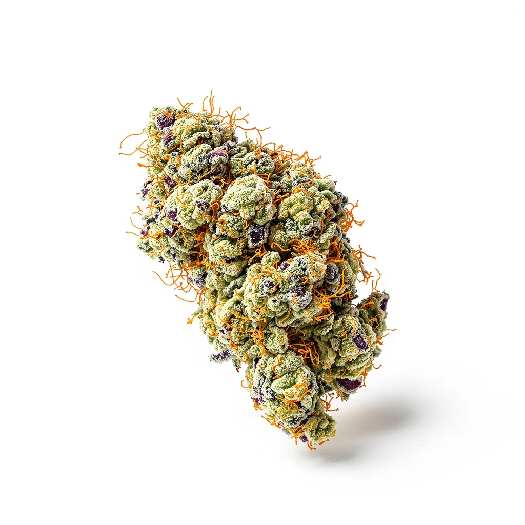 White Fire Alien OG cannabis plant in flowering stage — 60-100 cm autoflower