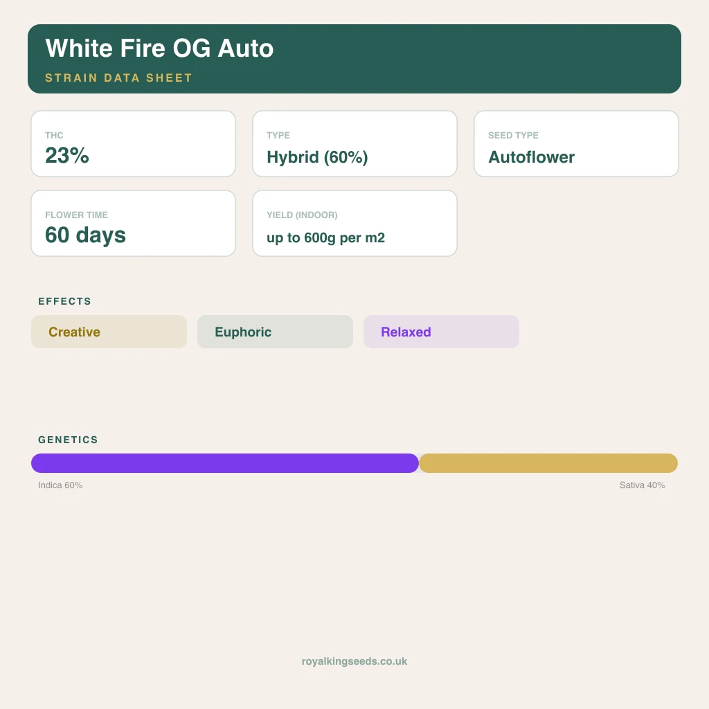 White Fire OG 60% indica / 40% sativa flower with visible trichomes