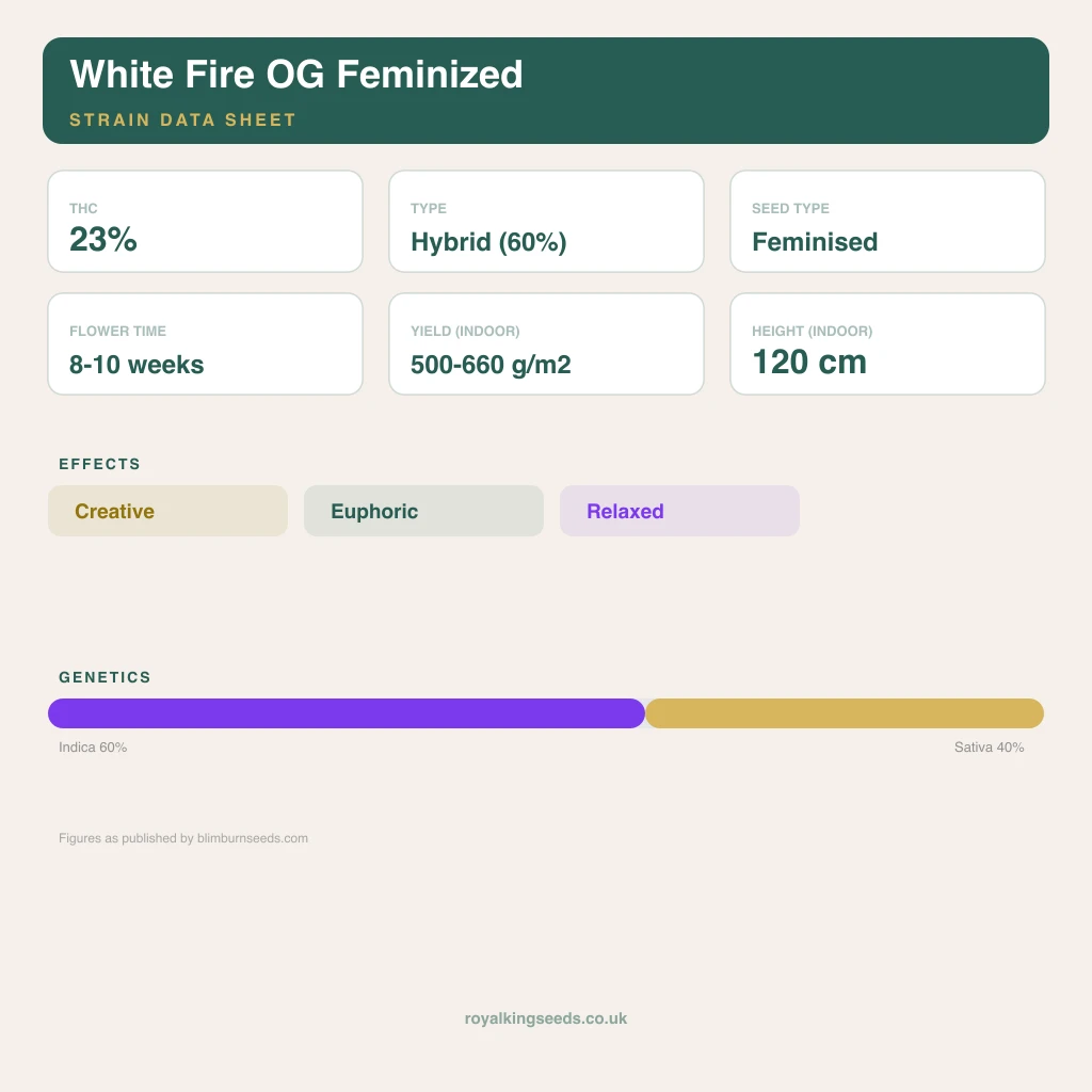 White Fire OG 60% indica / 40% sativa flower with visible trichomes