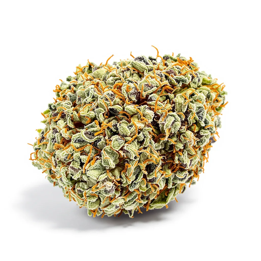 White Lightning cannabis plant in flowering stage — 120-180 cm feminised