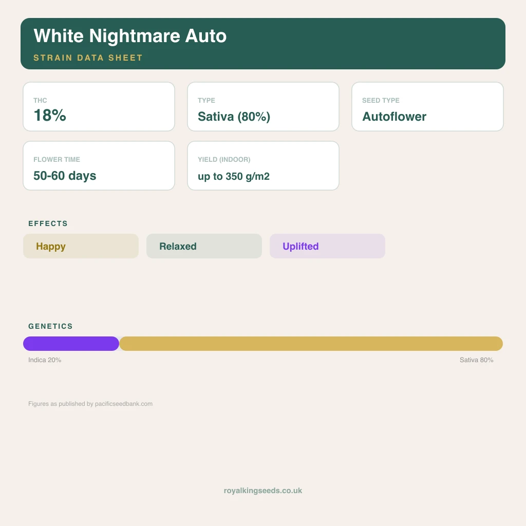 White Nightmare 20% indica / 70% sativa flower with visible trichomes