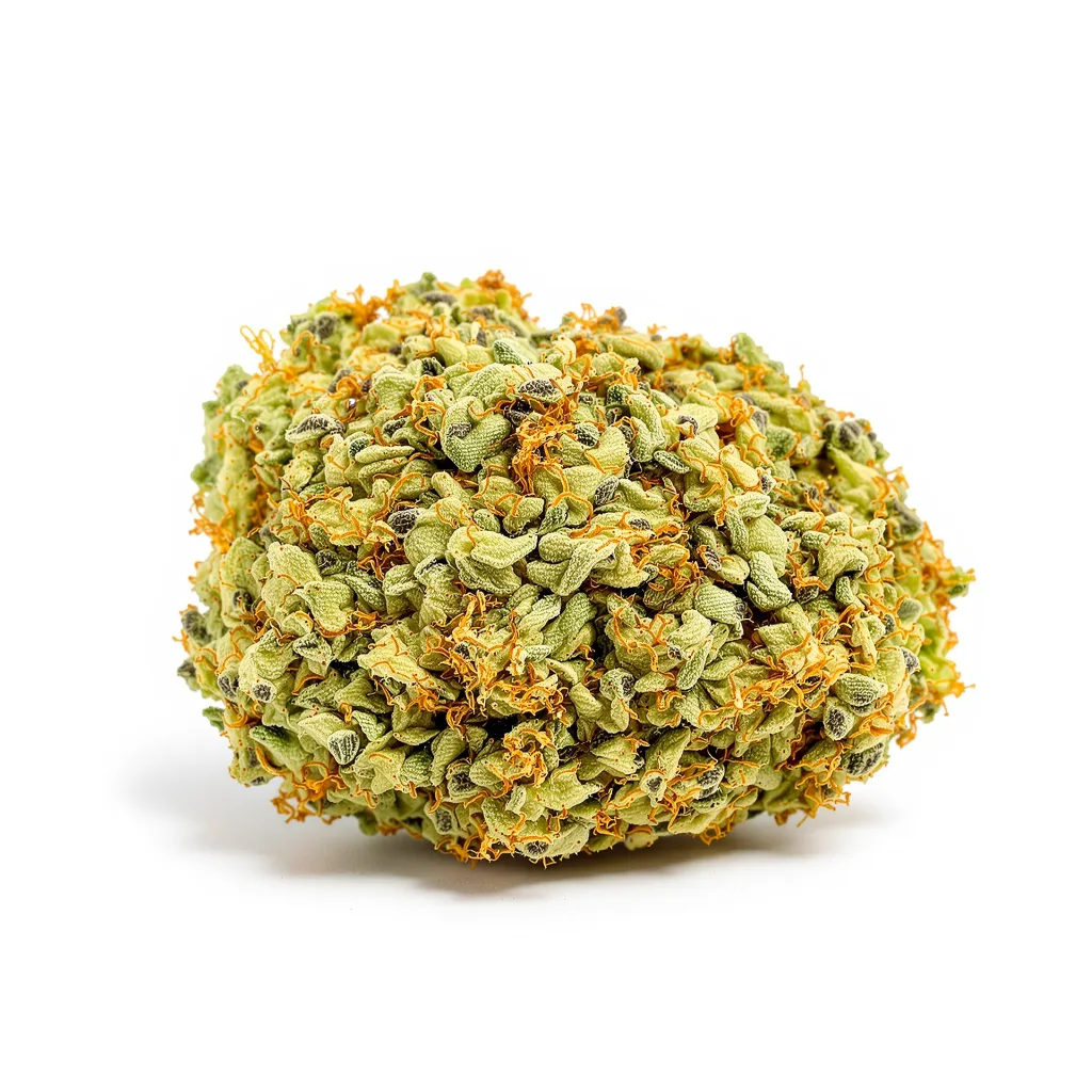 White Nightmare cannabis plant in flowering stage — 60-100 cm autoflower