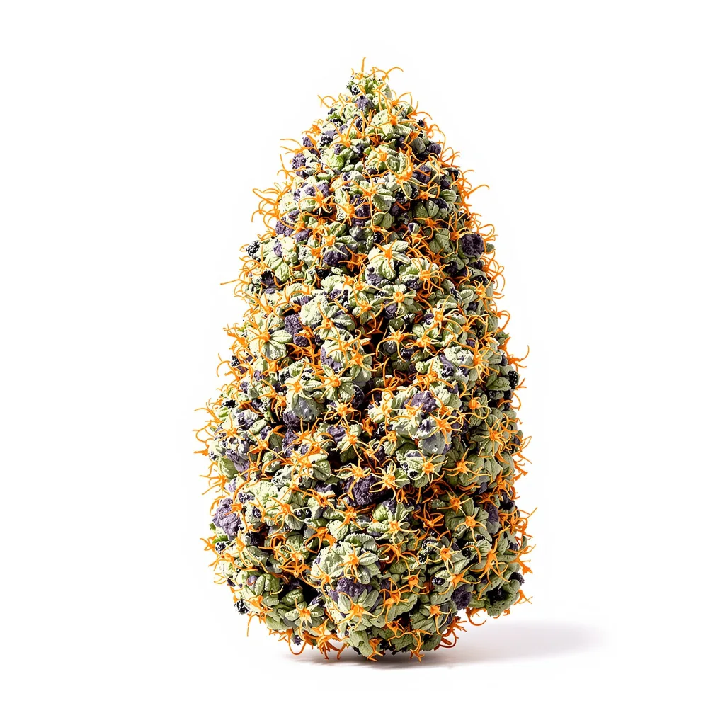 Woody Kush cannabis plant in flowering stage — 90-130 cm feminised