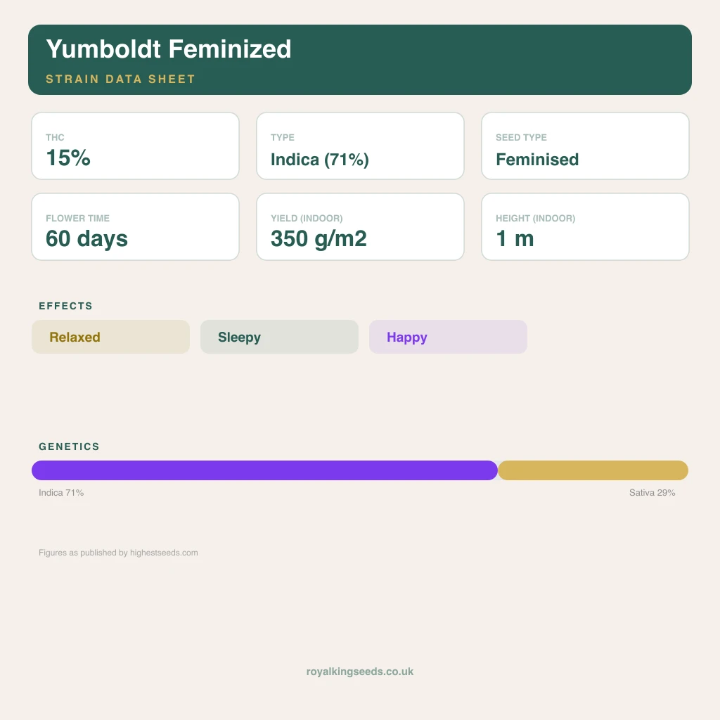 Yumboldt 71% indica / 29% sativa flower with visible trichomes