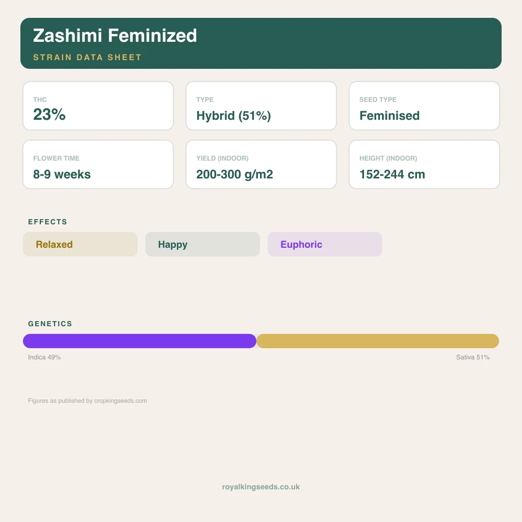 Zashimi 49% indica / 51% sativa flower with visible trichomes
